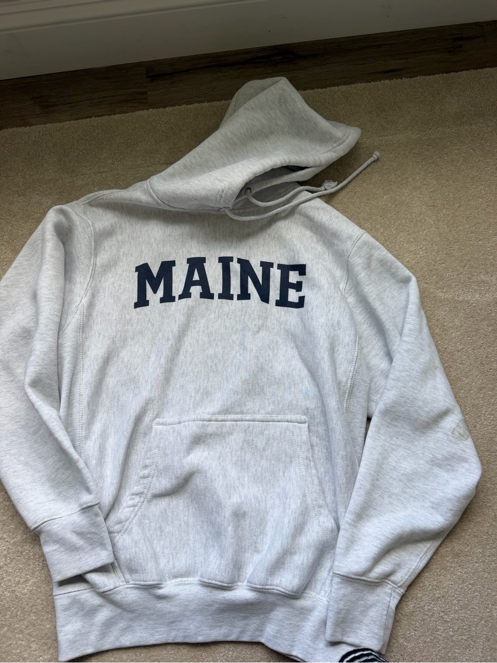 Maine Graphic Oversized Hooded Sweatshirt - Light Gray